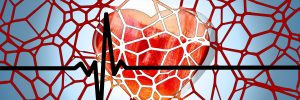 מניעת נזקי מחלות לב וכלי דם